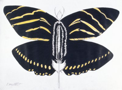 Feathered Butterfly, 2004 (kolorowy ołówek na papierze) autorstwa Kurtis L. Miller