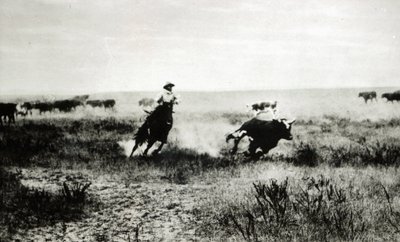 Kowboj na koniu trzymający na lasso cielę (mc. zdjęcie) autorstwa L.A. Huffman