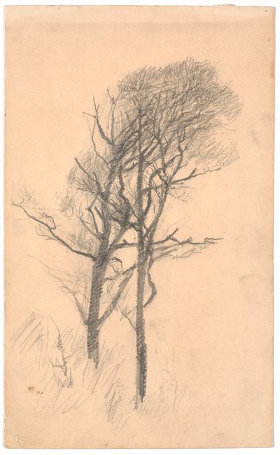 Dwa drzewa z niskim podszytem autorstwa Laurits Andersen Ring