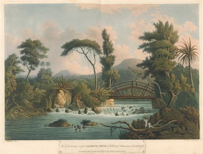 Rzeka Cabaritta, z Six Views in the Island of Jamaica, litografia I. Merigot autorstwa L. (after) Belanger