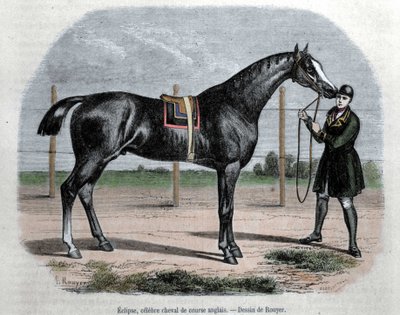 Angielski koń wyścigowy Eclipse. Ilustracja autorstwa Rouyera. autorstwa L. (after) Rouyer
