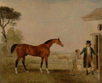 „Sultan” w stadninie markiza Exeter, Burghley autorstwa Lambert Marshall