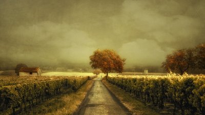 Jesienna droga winnic autorstwa Lars van de Goor †