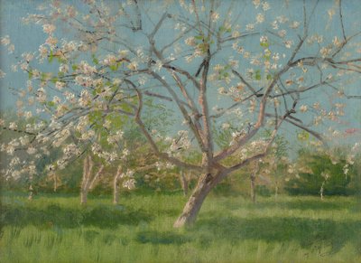 Kwitnące drzewa sadownicze, 1900-10 autorstwa Laszlo Mednyanszky