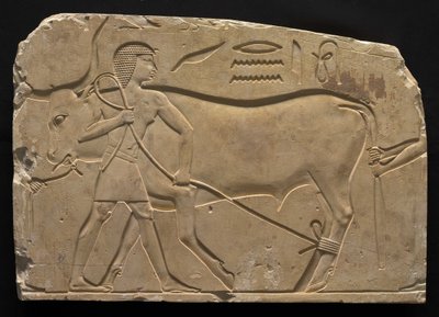 Mężczyźni krępujący wołu, 667-647 pne autorstwa Late Period Egyptian