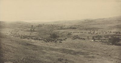 [Rzucanie Rangersów do łapanki] autorstwa Laton Alton Huffman
