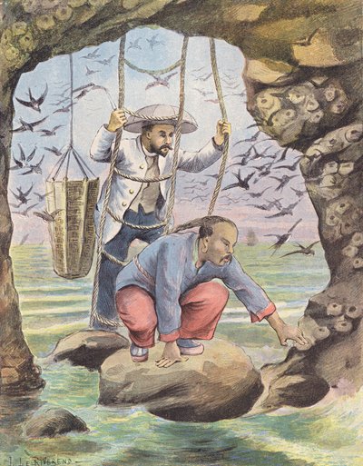 Zbieranie gniazd jaskółek na Sumatrze (kolorowa litografia) autorstwa Laurence Louise Le Riverend