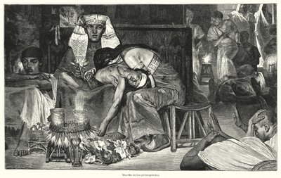 Śmierć pierworodnych: ostatnia z dziesięciu plag egipskich (lito) autorstwa Lawrence (after) Alma Tadema