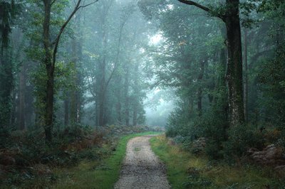  autorstwa Lee Cooper