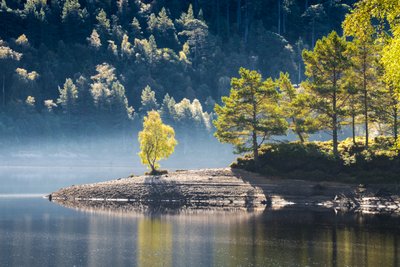  autorstwa Lee Cooper