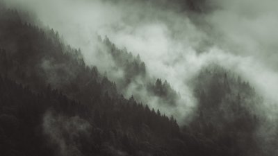  autorstwa Lee Cooper