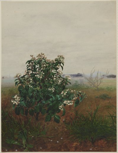  autorstwa Léon Bonvin