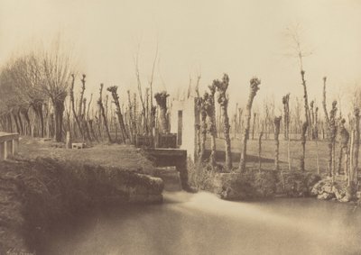 Krajobraz, Montebello, ok. 1860 (zdjęcie) autorstwa Léon Gérard