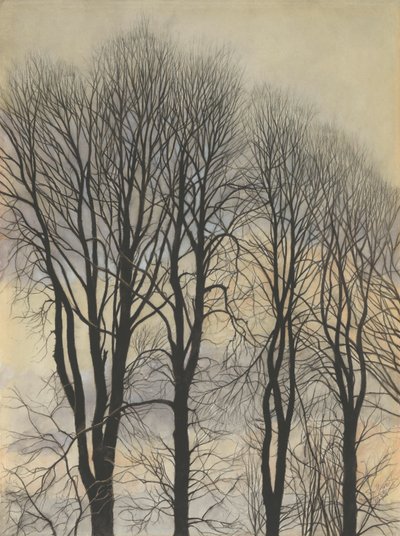 Drzewo na niebie autorstwa Leon Spilliaert