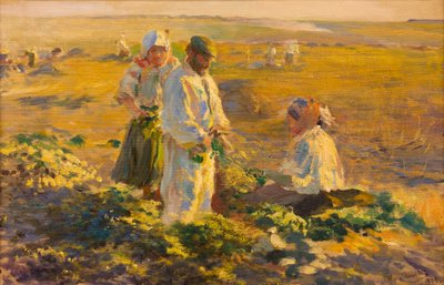 Zbieranie buraków autorstwa Leon Wyczolkowski