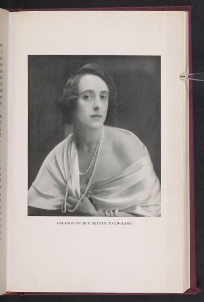"Orlando po powrocie do Anglii" z książki Orlando: A Biography autorstwa Virginii Woolf autorstwa Leonard George aka Lenare Green