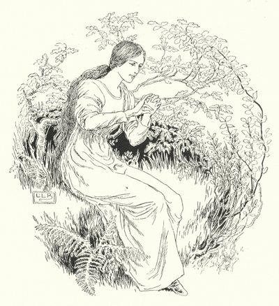 Poszedłem do drewna i dostałem to (grawerowanie) autorstwa Leonard Leslie Brooke