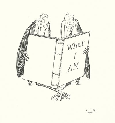 W ogrodzie Jasia Wrony (litografia) autorstwa Leonard Leslie Brooke