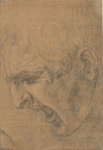 Głowa krzyczącego mężczyzny autorstwa Leonardo da (follower of) Vinci