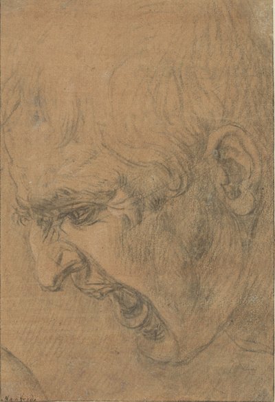 Głowa krzyczącego mężczyzny autorstwa Leonardo da Vinci (follower of)