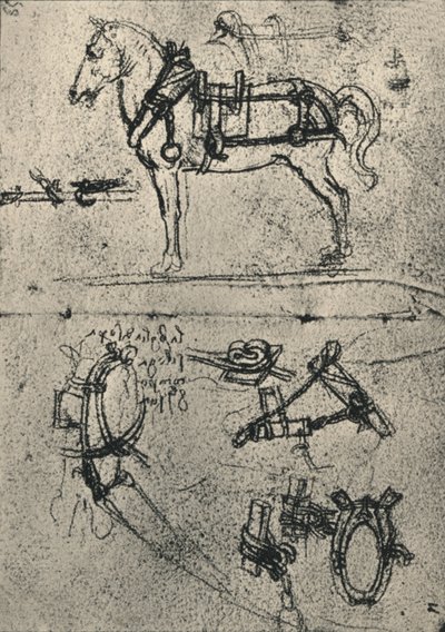 Zaprzęgnięty koń powozowy i badania uprzęży, ok. 1480 1945 r autorstwa Leonardo da Vinci