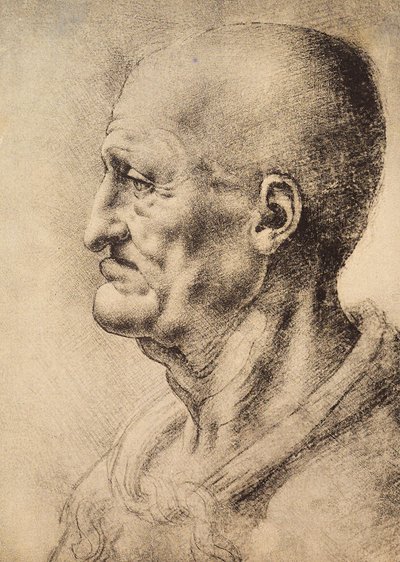 Mężczyzna przedstawiony z profilu, rysunek Leonarda da Vinci, zachowany w Sali Rysunków i Grafiki, Galeria Uffizi, Florencja. autorstwa Leonardo da Vinci