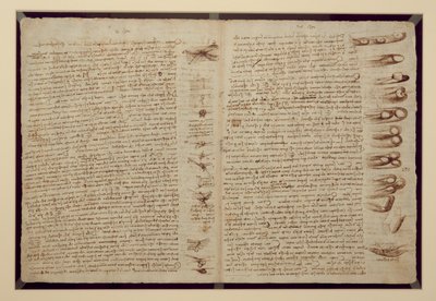 Strona z Codex Leicester, 1508-12 (tusz sepia na papierze lnianym) autorstwa Leonardo da Vinci