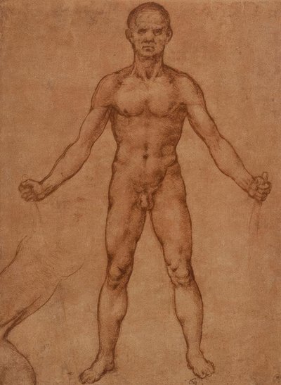 Nagie studium stojącego mężczyzny, frontalne autorstwa Leonardo da Vinci