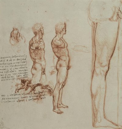 Anatomiastudia autorstwa Leonardo da Vinci