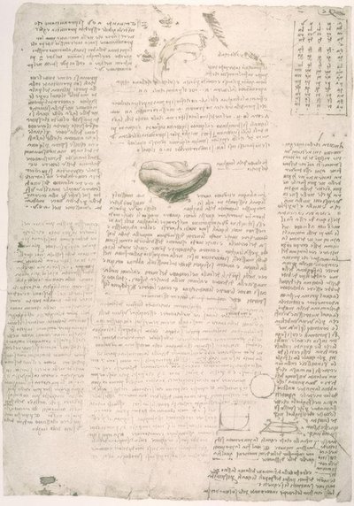 Anatomiastudia autorstwa Leonardo da Vinci