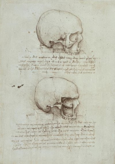 Anatomiastudia autorstwa Leonardo da Vinci