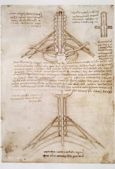 Anatomiastudia autorstwa Leonardo da Vinci