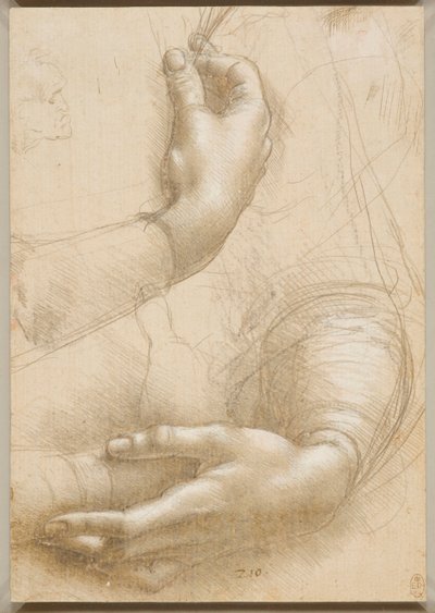 Ramiona i dłonie kobiece, ok. 1930 r. 1480. autorstwa Leonardo da Vinci