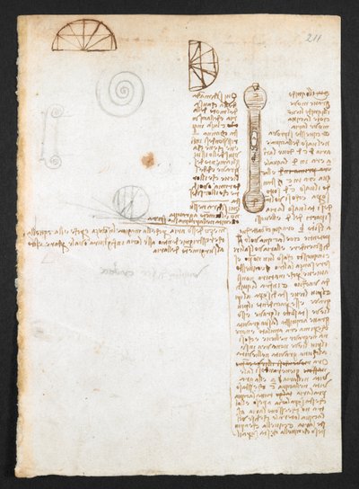 Arundel 263, f.211r Notatki, szkice i diagramy z „Codex Arundel” (pióro i tusz na papierze) autorstwa Leonardo da Vinci