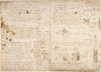 Arundel 263, f.223 Notatki, diagramy i szkice z „Codex Arundel” (pióro i atrament na papierze) autorstwa Leonardo da Vinci