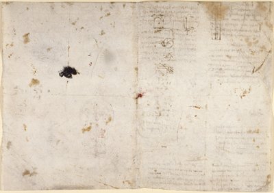 Arundel 263, f.225v, f.230 Rysunki dotyczące sił i sił mechanicznych, perkusji, grawitacji, ruchu, optyki i astronomii, z różnymi propozycjami arytmetycznymi i geometrycznymi (pióro i tusz na papierze) autorstwa Leonardo da Vinci