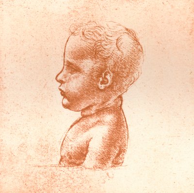 Popiersie chłopca, c1472-c1519 1883 autorstwa Leonardo da Vinci