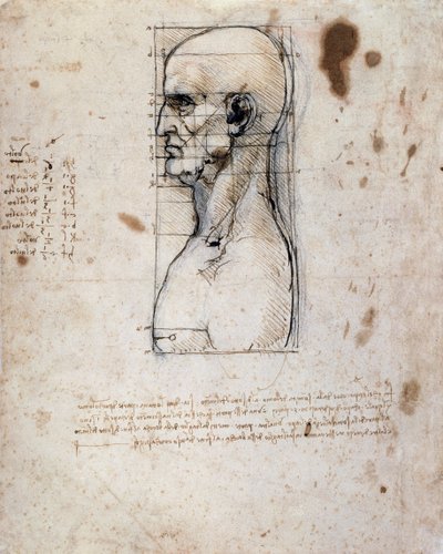 Popiersie mężczyzny z profilu z pomiarami i notatkami (tusz sepia na papierze lnianym) autorstwa Leonardo da Vinci
