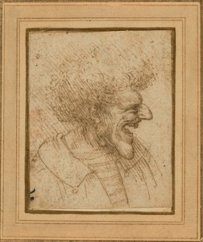 Karykatura mężczyzny z krzaczastymi włosami autorstwa Leonardo da Vinci