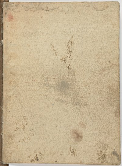 Kodeks lotu ptaków, c. 1505-06, rękopis papierowy, k.p. 18, okładka I autorstwa Leonardo da Vinci