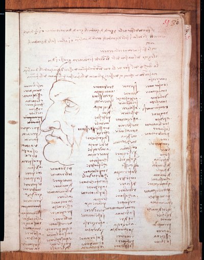Codex Trivulziano Leonarda da Vinci (Leonardo da Vinci) (1452 - 1519) - Biblioteka Trivulziana, Mediolan autorstwa Leonardo da Vinci