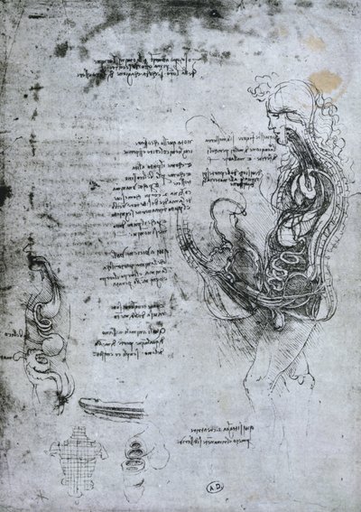 Koition of Hemisected Man and Woman, kopia faksymile autorstwa Leonardo da Vinci