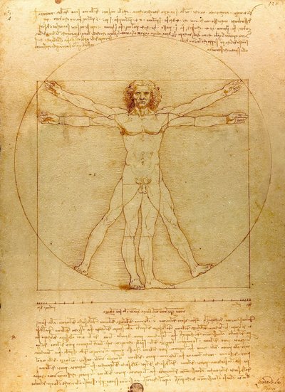 Da Vinci Vitruve Luc Viatour (przycięte) autorstwa Leonardo da Vinci