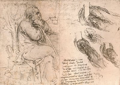 Rysunek ilustrujący przedstawienie włosów opadających w loki, c1472-c1519 1883 autorstwa Leonardo da Vinci