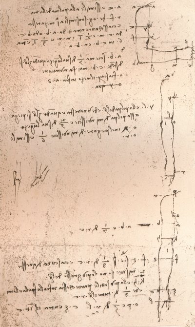 Rysunek ilustrujący teorię proporcji postaci ludzkiej, c1472-c1519 1883 autorstwa Leonardo da Vinci