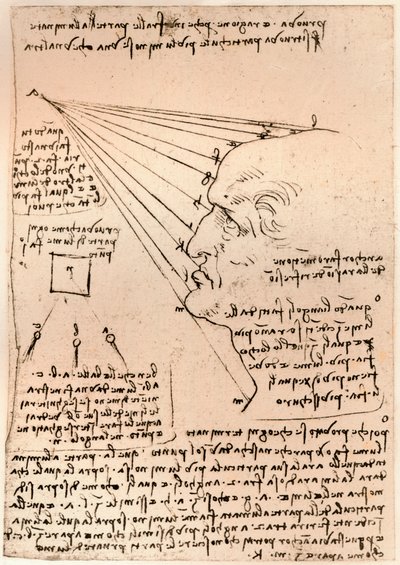 Rysunek męskiej głowy, ilustrujący praktykę malarską, c1472-c1519 1883 autorstwa Leonardo da Vinci