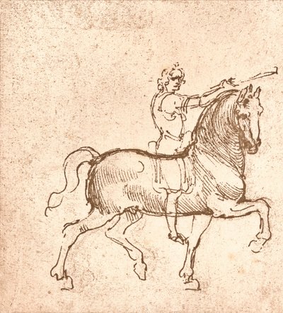 Rysunek chodzącego konia, c1472-c1519 1883 autorstwa Leonardo da Vinci