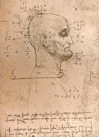 Rysunek głowy przestępcy, c1472-c1519 1883 autorstwa Leonardo da Vinci