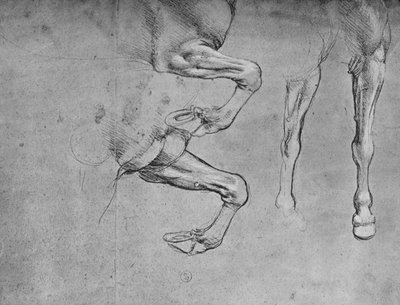 Cztery badania nóg koni, ok. 1480 1945 r autorstwa Leonardo da Vinci