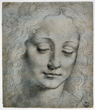 Giovanni Antonio Boltraffio (Beltraffio) (1467 - 1516) (najbardziej znany uczeń Leonarda da Vinci): głowa chłopca korona z liści na drodze Verrocchio, GDSU 425 E autorstwa Leonardo da Vinci